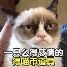 双十二狂欢购,双十二狂欢购疯抢一整天