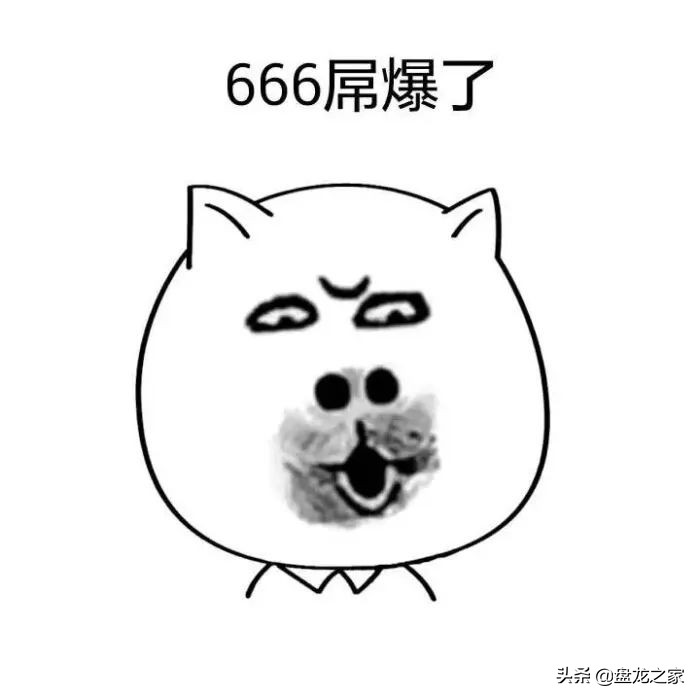 2019年是盘龙城大放异彩的一年会展中心,体育中心,地铁7号线