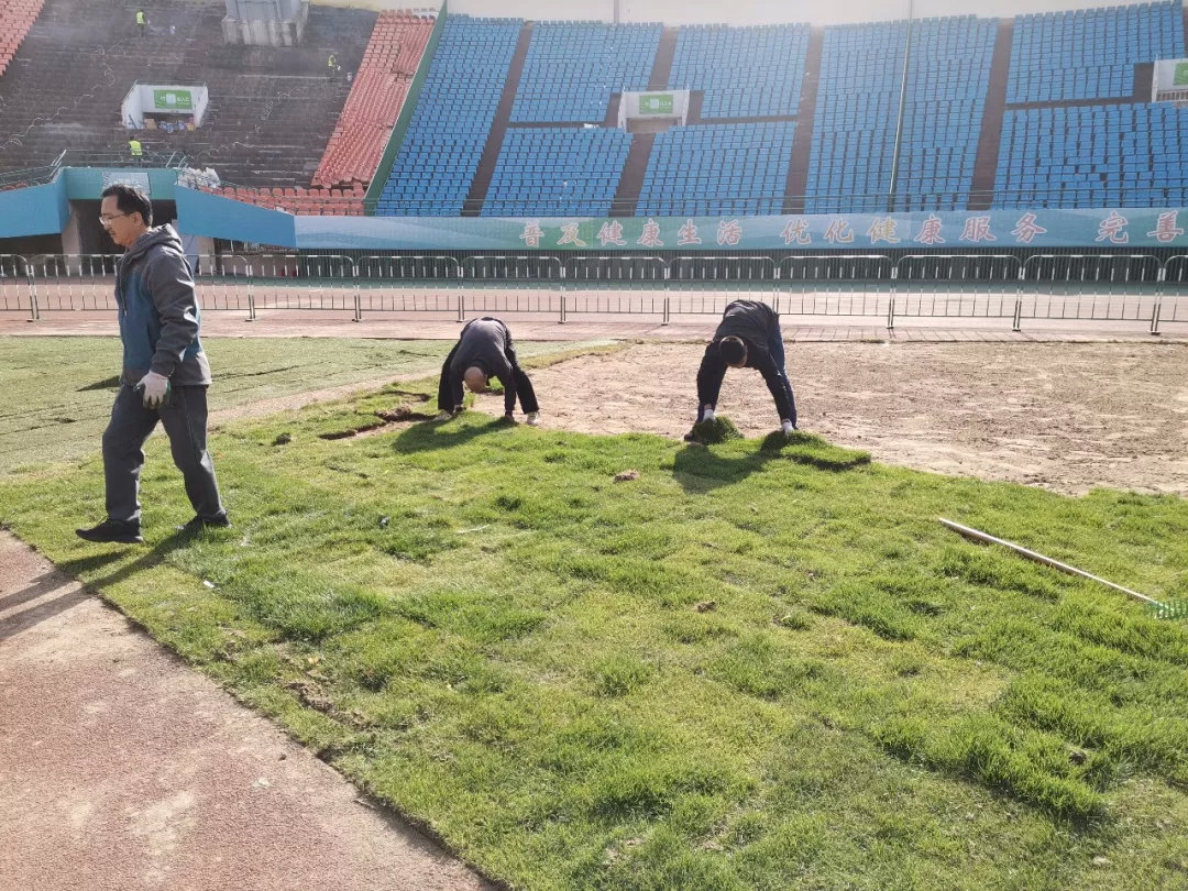 山东鲁能圣体,山东鲁能圣体体育场