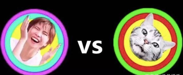 又翻车了，被gay骗感情，为捞钱无下限？