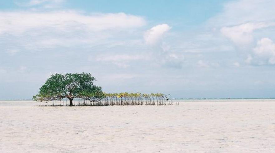 马尼拉最美景点,马尼拉薄荷岛旅游景点推荐