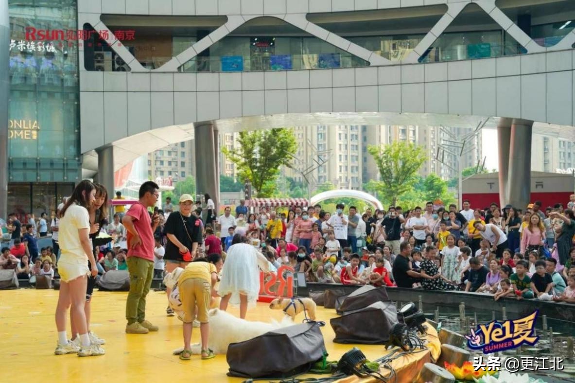 南京弘阳广场宠物,宠物友好商场南京浦口