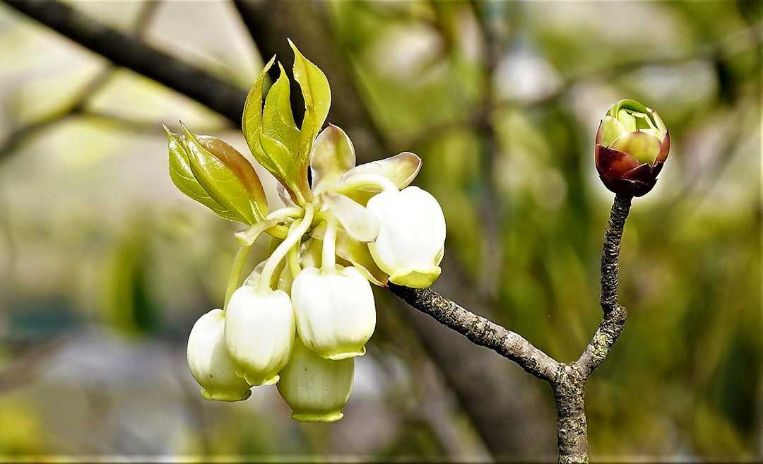 男科实习心得体会怎么写,男科问诊经历描述