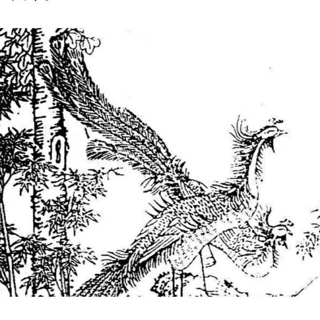 凤凰涅槃到底是什么样的一个情景