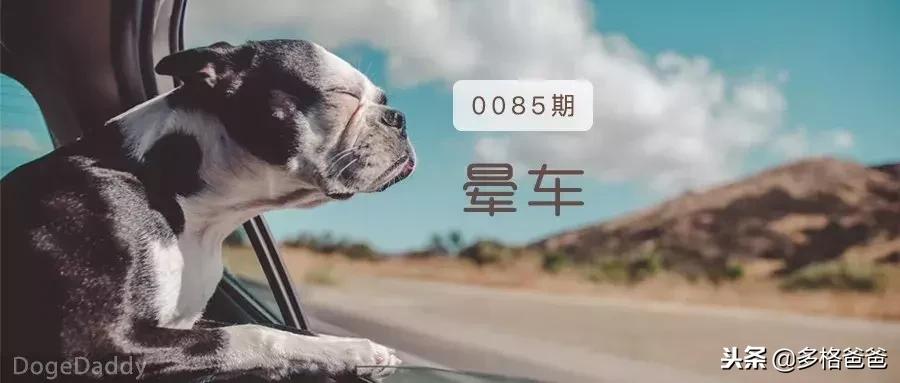 带狗狗长途旅行狗狗晕车怎么办,你家的狗狗会晕车么