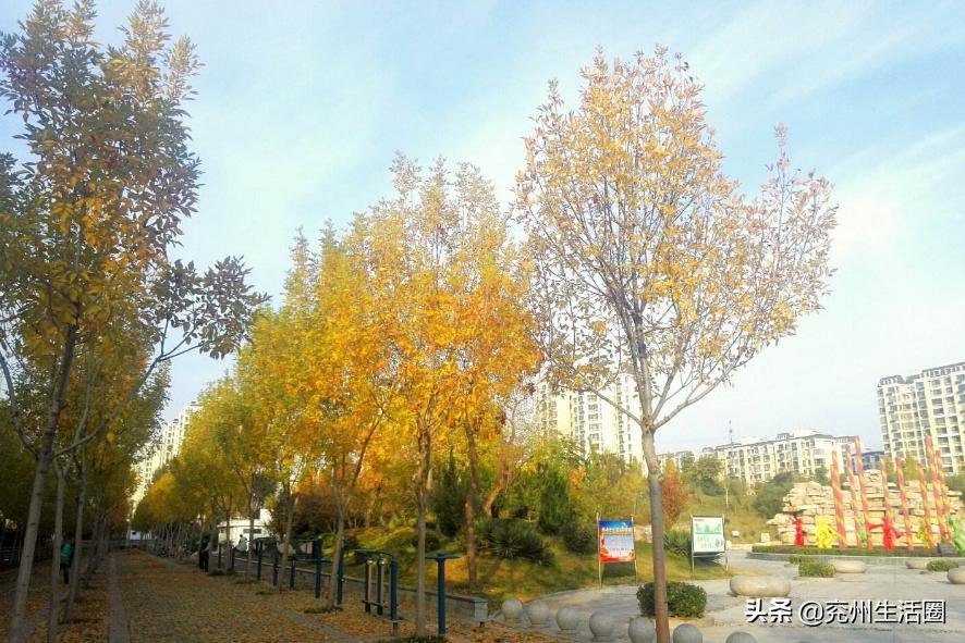 兖州西城区龙桥街道规划,兖州区发展前景