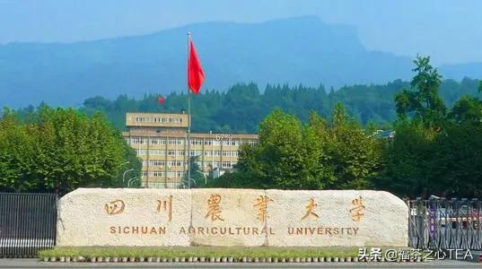 湖南农业大学茶学专业怎么样,广西有哪些高校开设茶学
