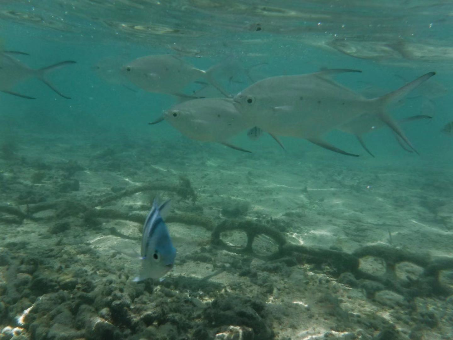 周边海岛国家,附近的海岛