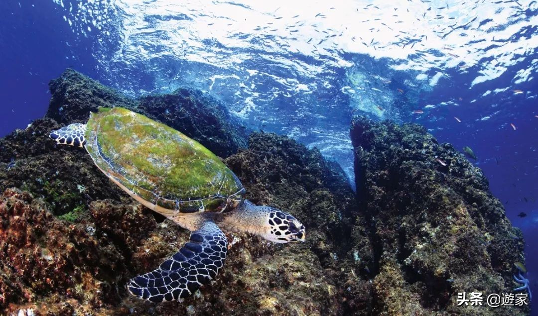 泰国看日落最好的地方,来泰国旅游景区