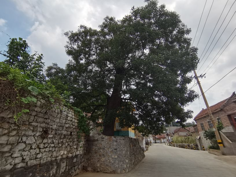 博山区八陡青石关,博山八陡青石关要门票么