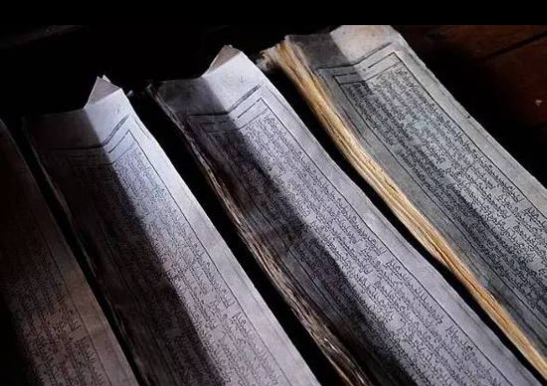 鎴峰涓嶈兘瑙︾鐨勬瘨鑺辨湁鍝簺,鍝簺姣掕姳涓嶈兘瑙︾