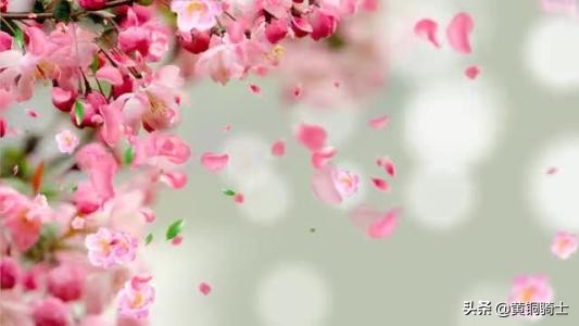 富有诗意的唐朝诗人,最有春意的唐朝诗人