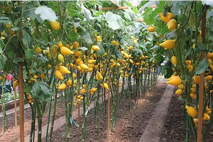 足球励志精辟感言,足球创新创业好点子