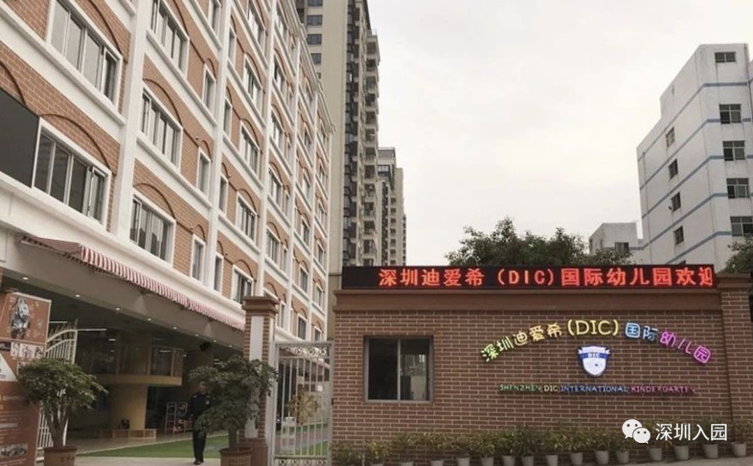 深圳双语幼儿园哪所比较好,深圳公立幼儿园学位充足