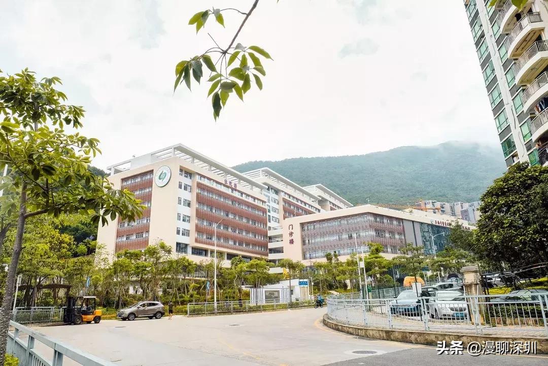 深圳空气中氡含量全国第一,深圳市负氧离子大概是多少