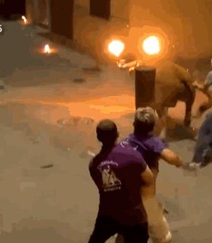 被牛角顶了是什么感觉,被牛角顶了是什么样