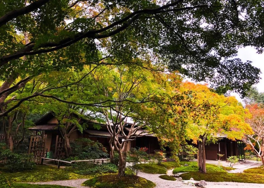 看惯了千篇一律,看惯了千篇一律的风景