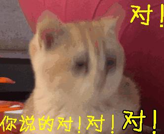 插z勾y鲜肉偶像的资源咖女星，竟乱搞染病得罪金猪？