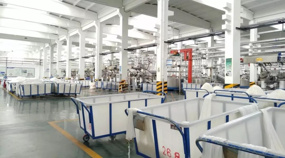 这些都是染色疵病，有图有真相