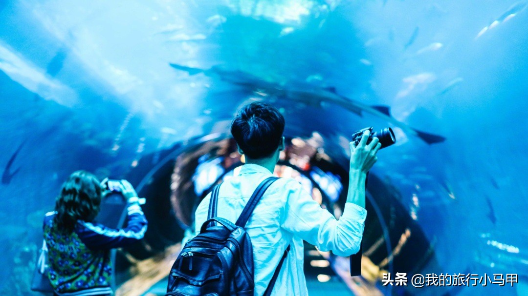 迪拜游玩攻略,去迪拜游玩最省钱的攻略