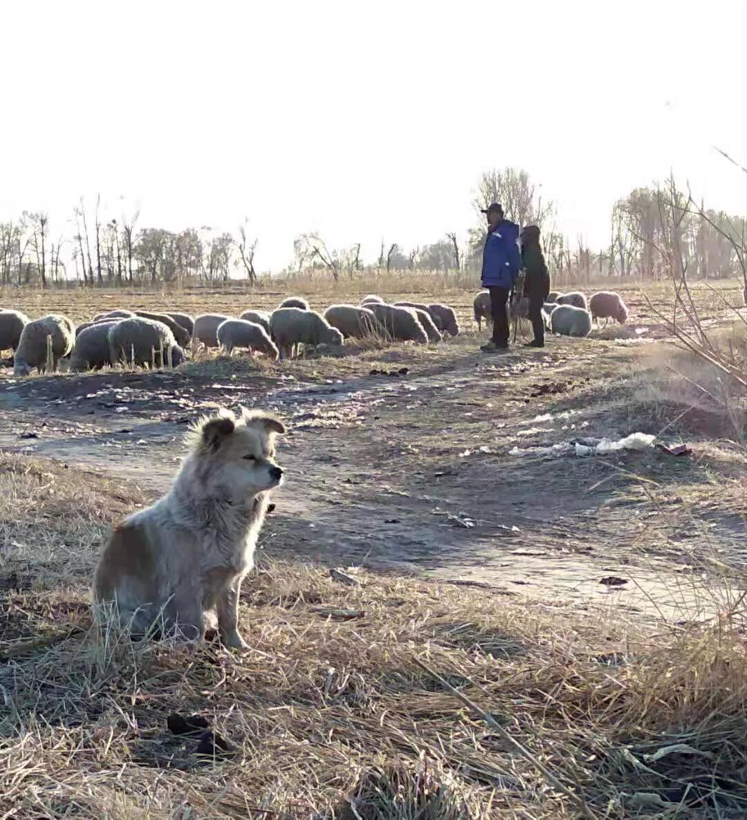 手拍世界近期作品,手拍世界微信公众号