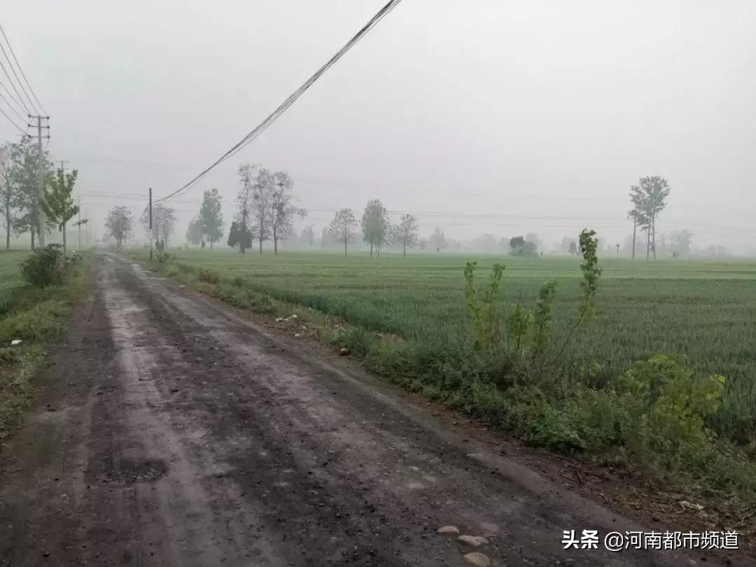 女子2次给丈夫下毒,丈夫被下毒三次