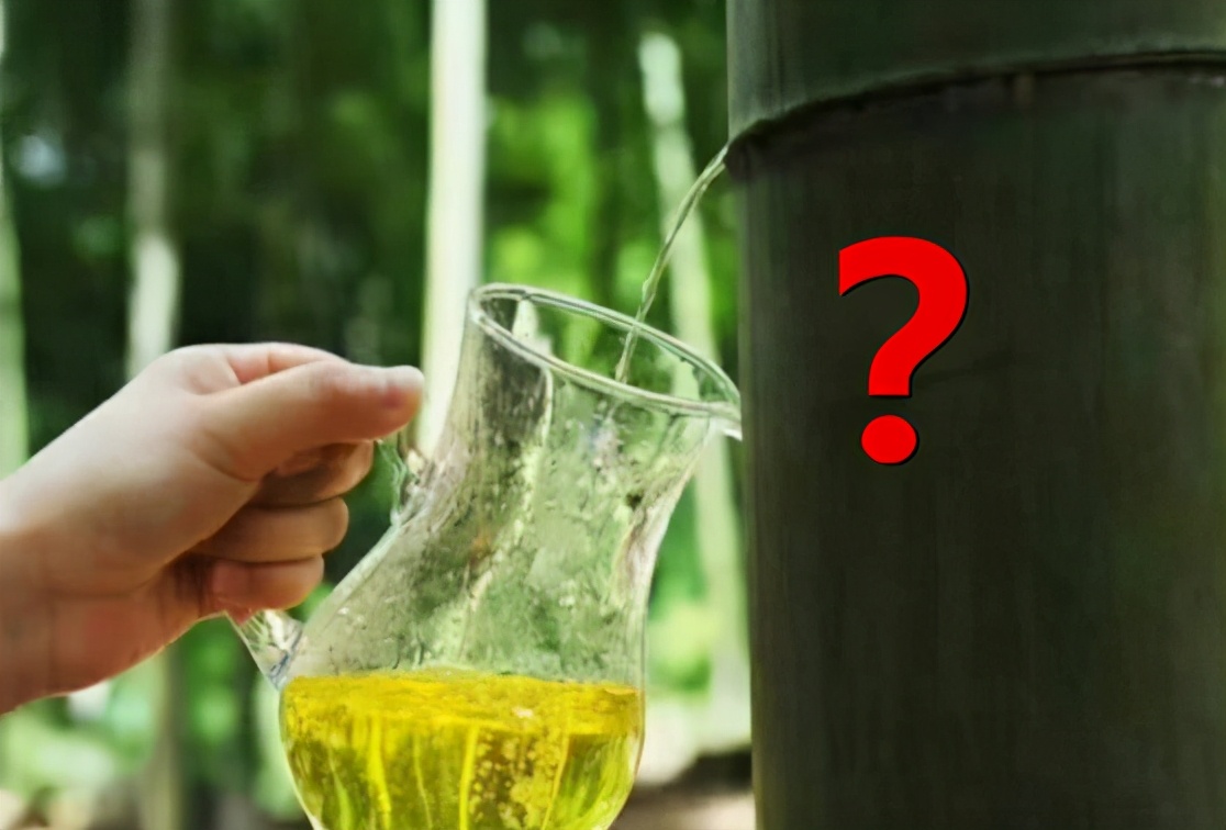 竹筒酒放了一年了还能喝吗,竹酒在竹子上保留多久