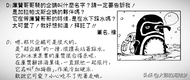 海贼王青雉大将出现,青雉怎样找到他的企鹅的