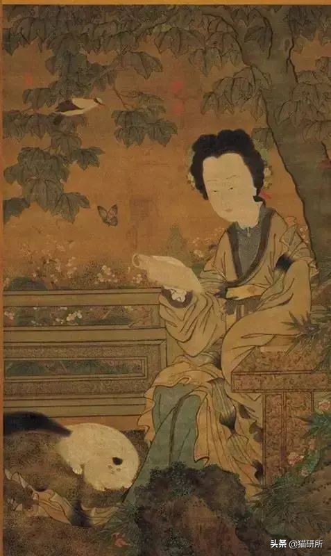 古代人如何称呼不同毛色的猫咪？