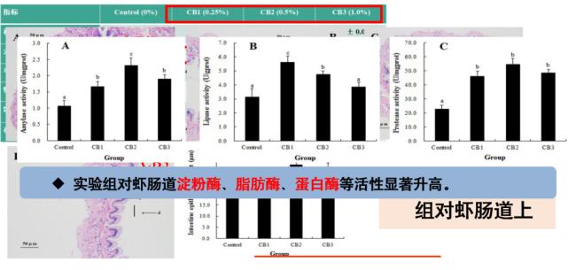 肠道菌的功效与作用,丁酸梭菌对水产动物肠道的作用