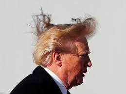 假发行业和生发行业,治脱发卖假发