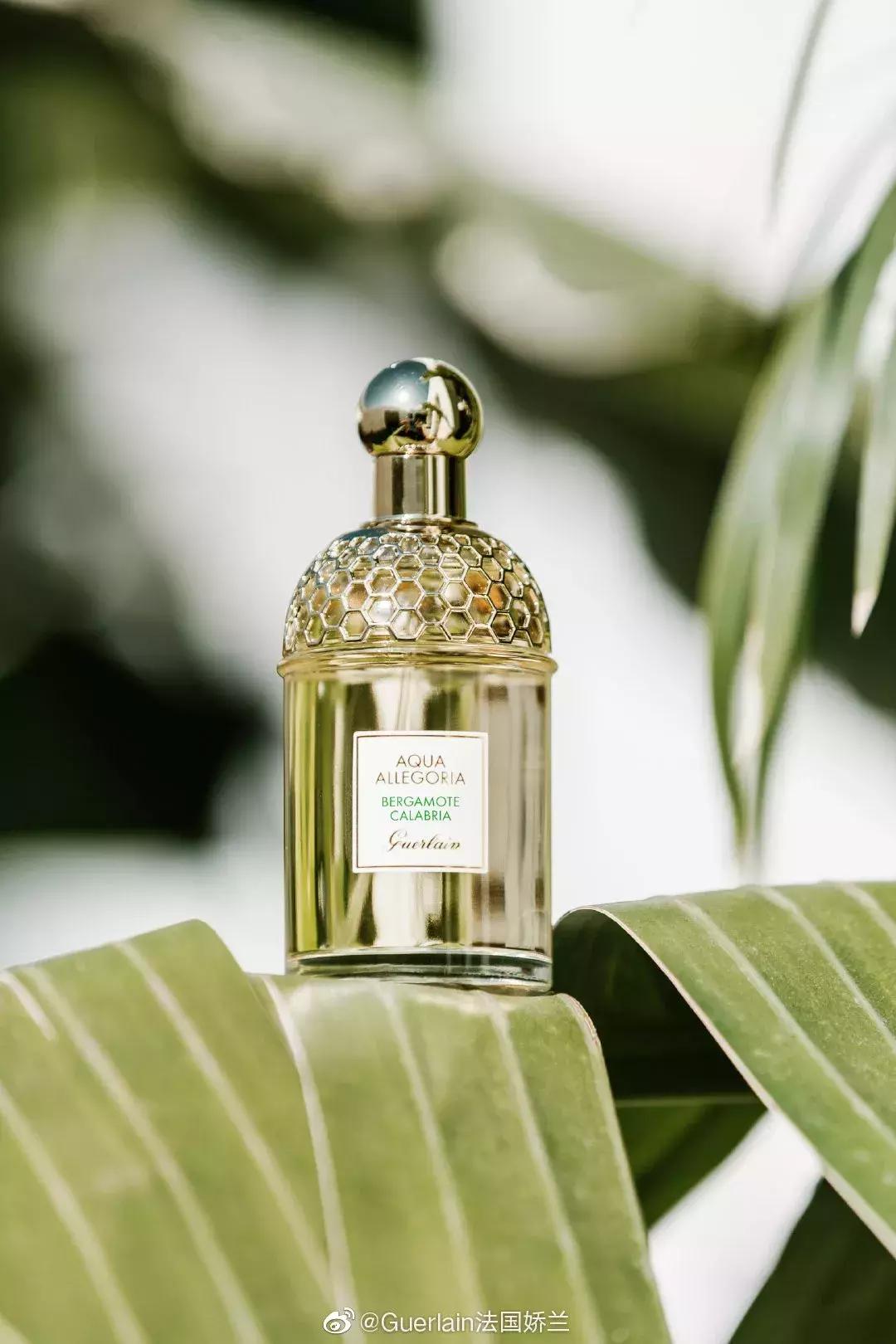 娇兰香水是香水界的扛把子吗,娇兰香水为什么最好用了