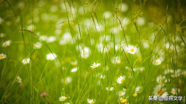 若千世界，总有人收留你