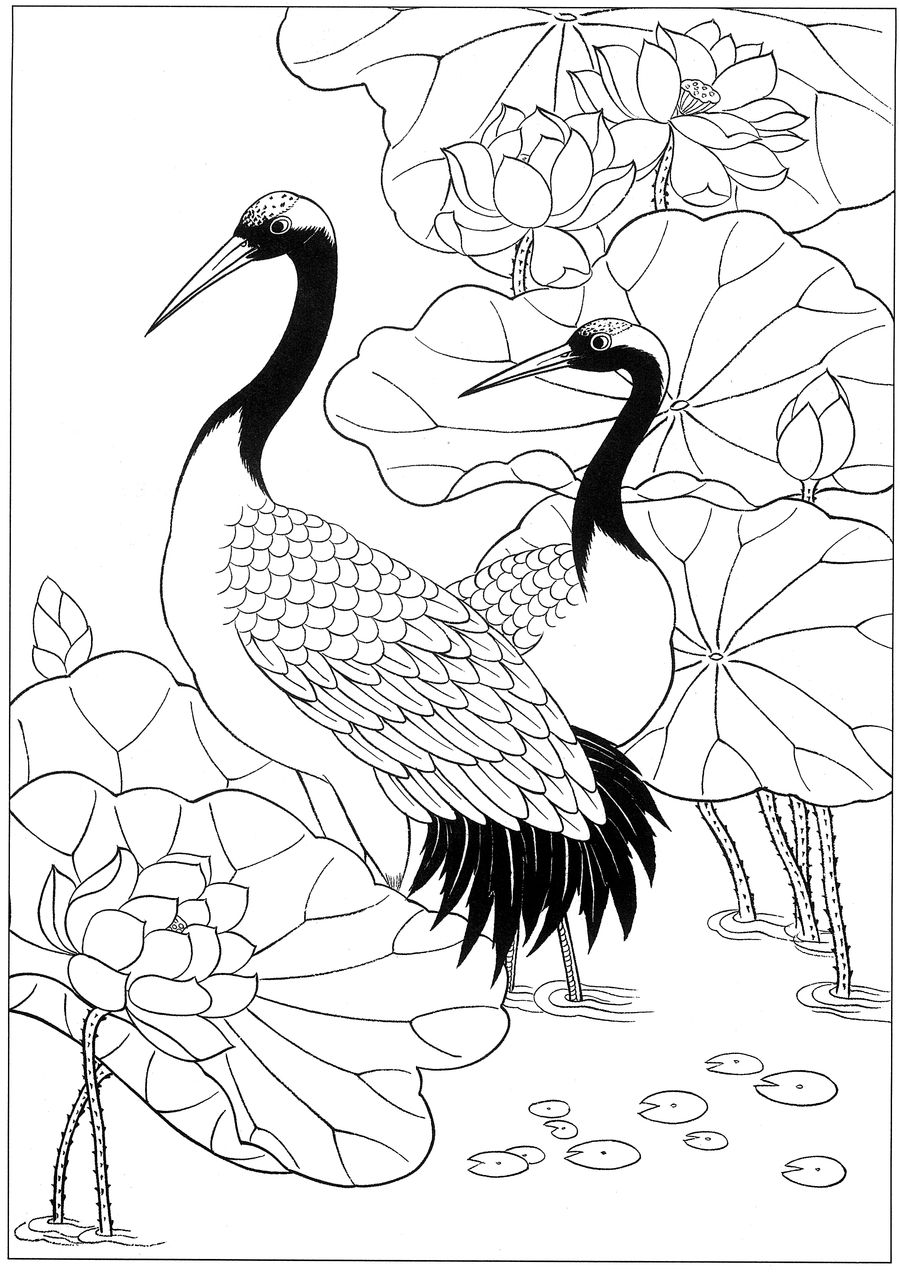 仙鹤桃子工笔白描稿,工笔画仙鹤高清图上色步骤图