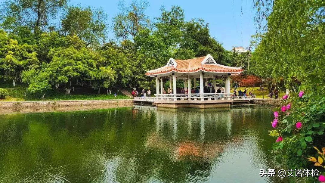 合肥景区免费景点,合肥旅游景点大全免费玩