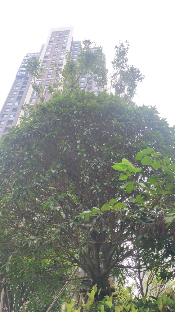 驻马店明年房价走势最新消息,驻马店最新房价会降吗