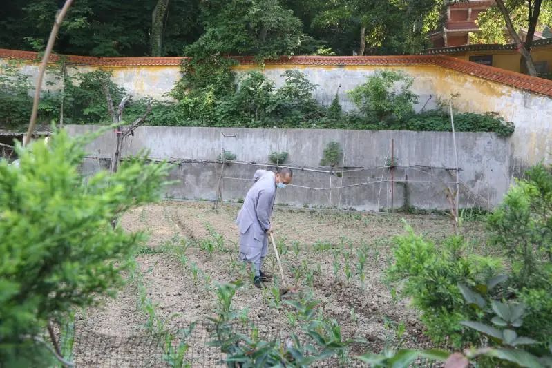 抢抓农时开展农业生产,农民纷纷抢抓春耕生产有利时机