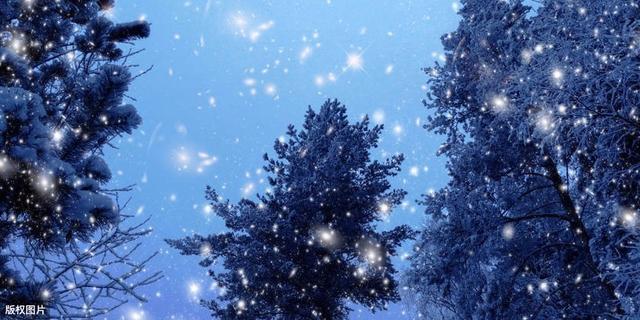 雪为肌肤,雪为肌肤花为肠全诗