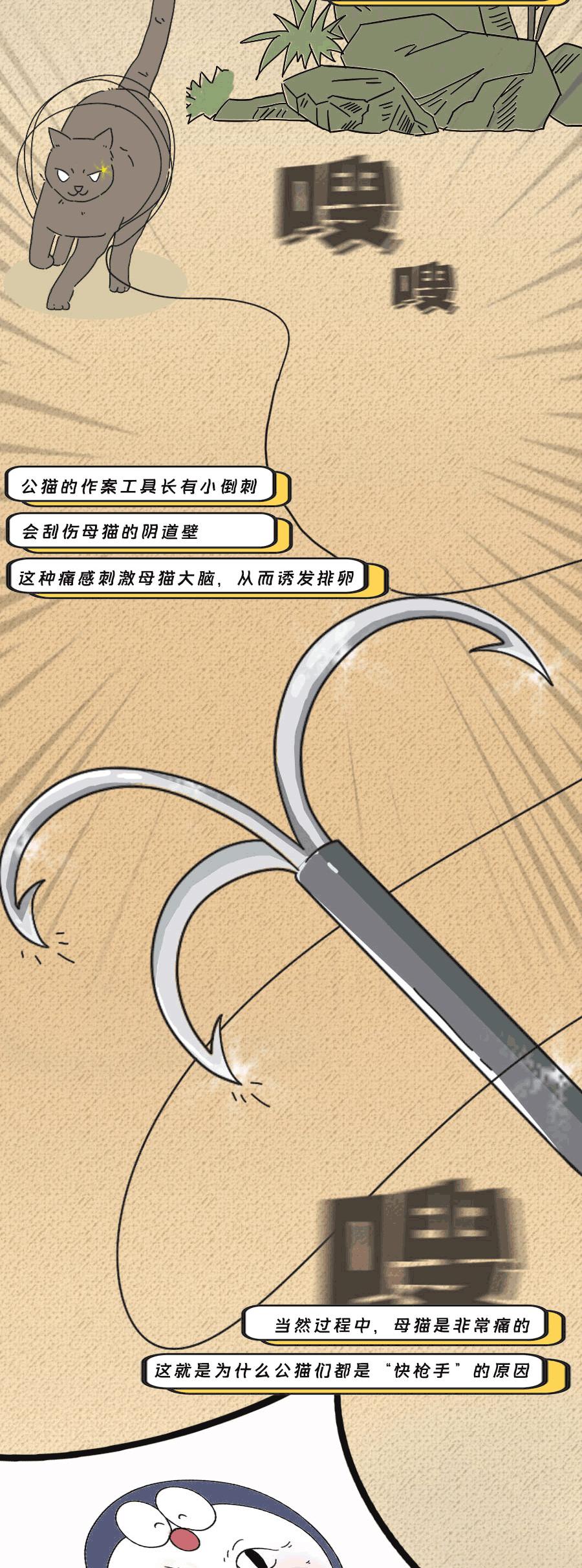 论啪啪啪，人类可比不上它们……