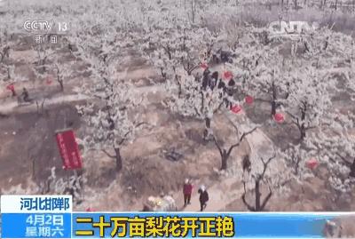 忆清明祖辈给我们留下了什么?