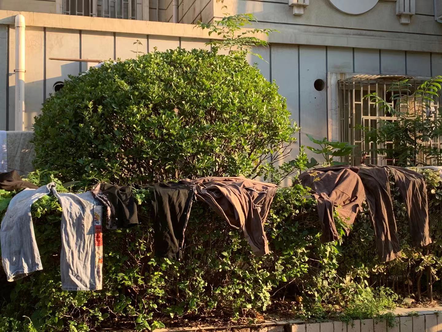 郑州21世纪社区杀人案,暴雨过后的郑州家园