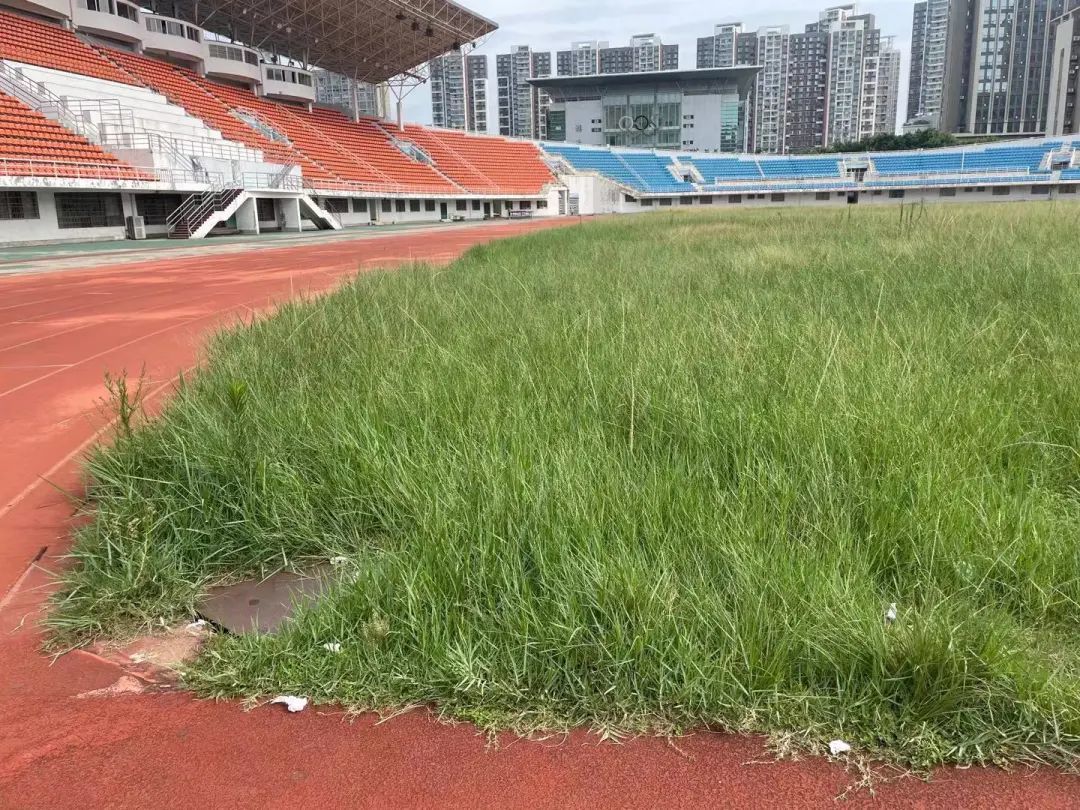 淮安体育中心塑胶跑道老化,赣州市室内足球场