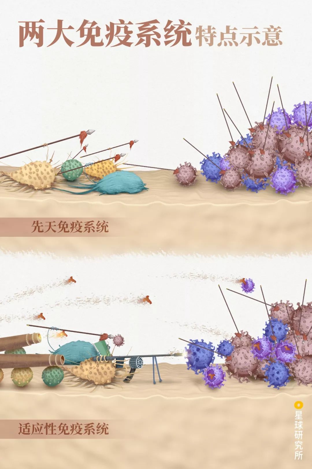 感染病毒后的168小时,你的体内都发生了什么?