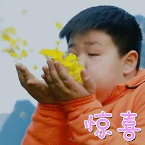 “我的名字，你来决定”，征集微信号名称和标志LOGO来啦！3000元等着你呢