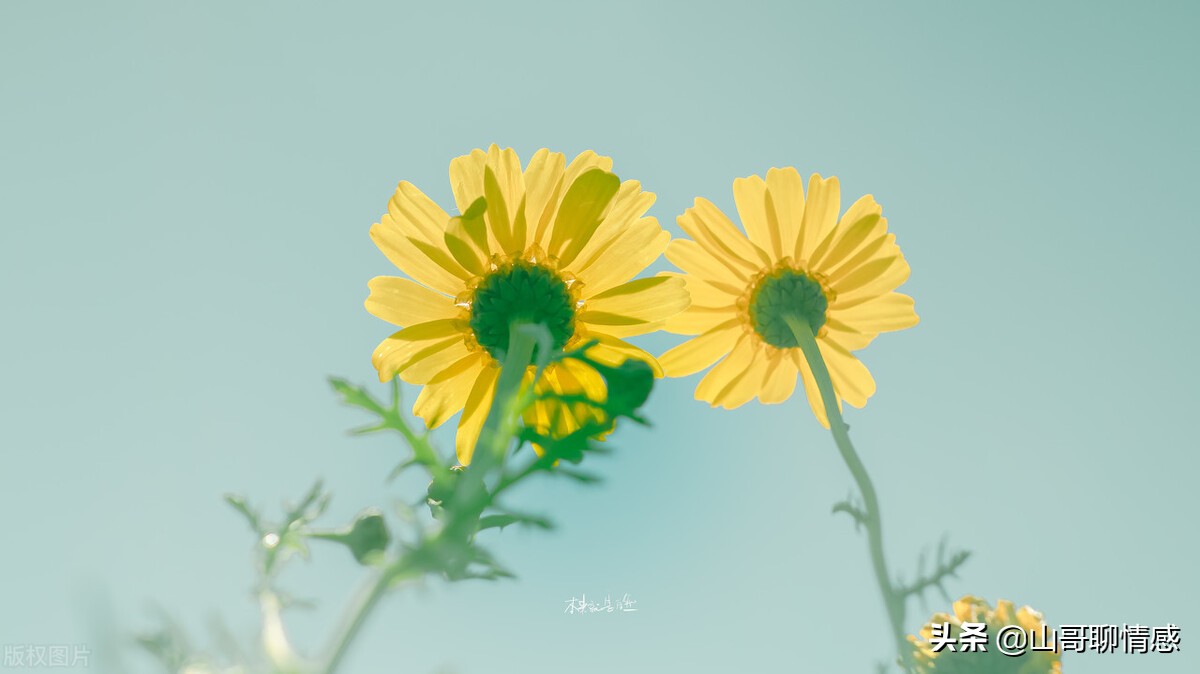 当你感到绝望的时候来听听这首歌,当你觉得绝望的时候该怎么办