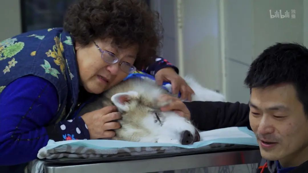 b站高分历史纪录片,2分钟一集的b站纪录片