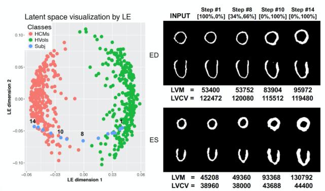 浅谈医学影像技术,医学图像分析深度学习模型
