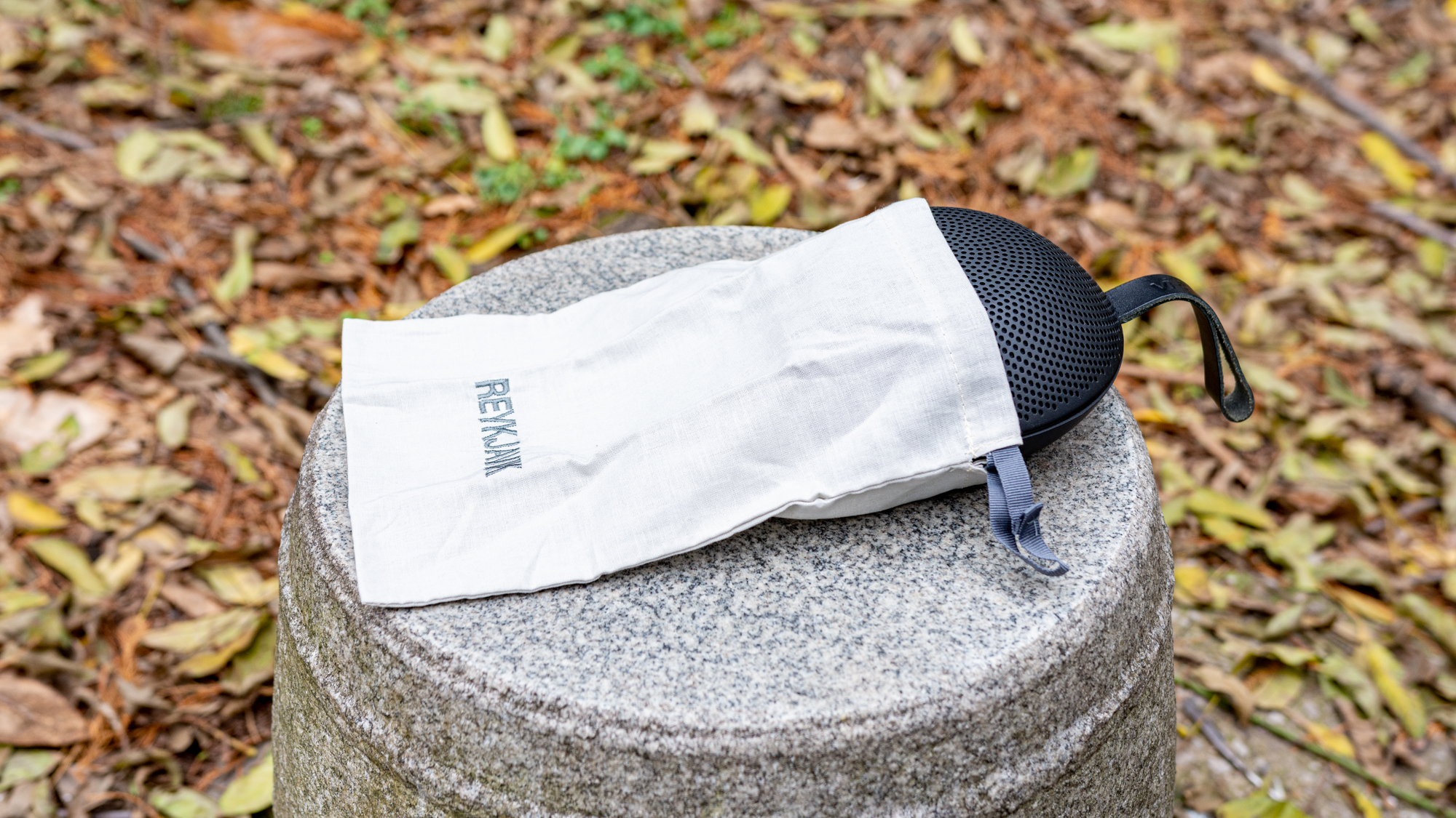 雷克雅音箱评测,雷克雅未克蓝牙音箱有底噪吗