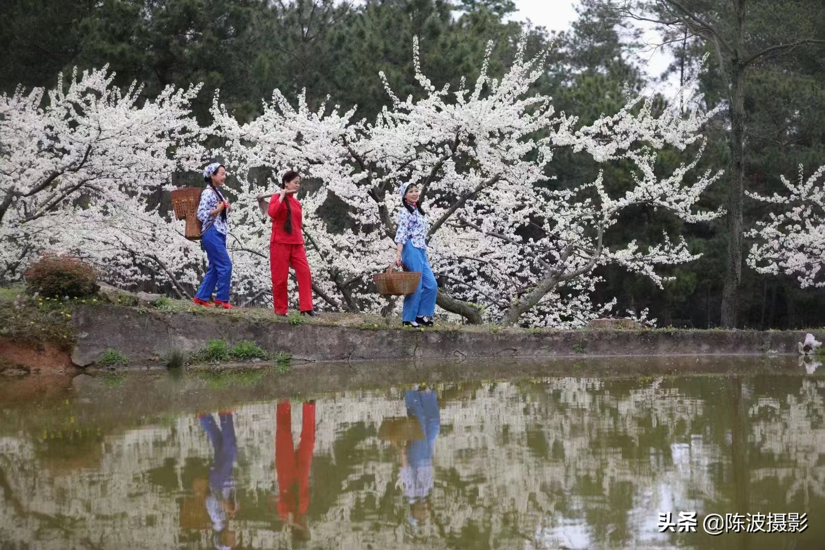 赞美湖北省三峡风景的诗词七绝,旅游三峡诗七绝