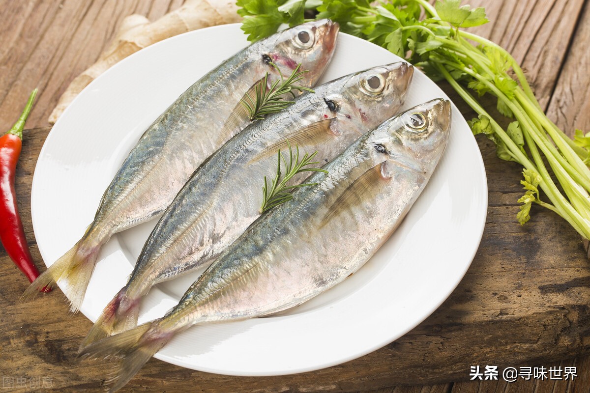 买鱼食内行人专买这十种纯海鱼,内行人就买这5种鱼